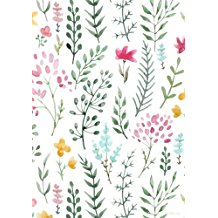 51W7DWN7jnL._AC_US218_